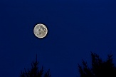Mond